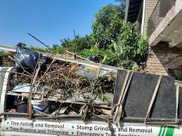 Best Carpet Removal and Disposal  in Crittenden, KY